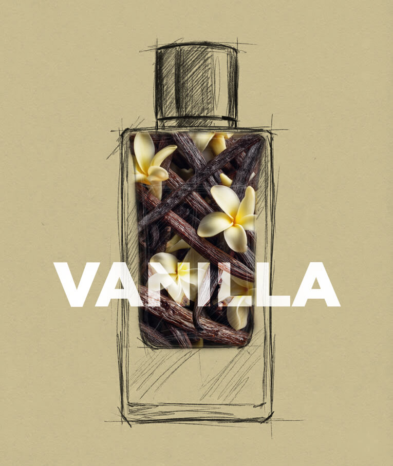 Vanilla